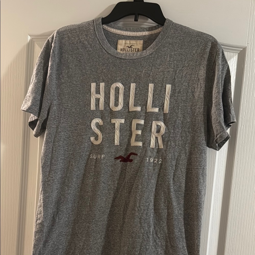 Hollister Gray T-Shirt